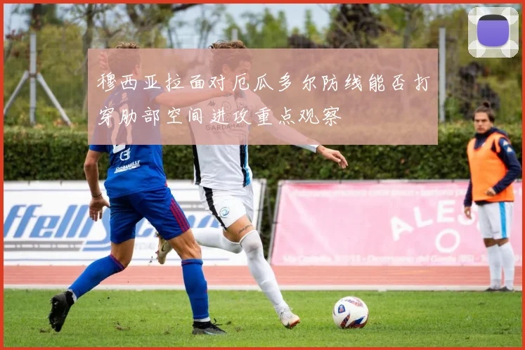 穆西亚拉面对厄瓜多尔防线能否打穿肋部空间进攻重点观察