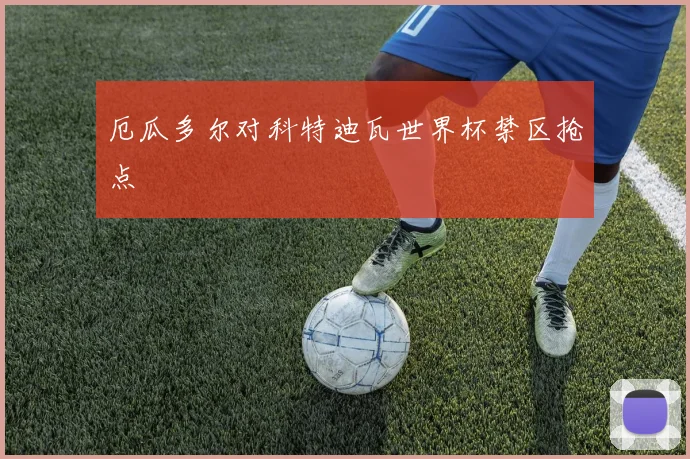 厄瓜多尔对科特迪瓦世界杯禁区抢点
