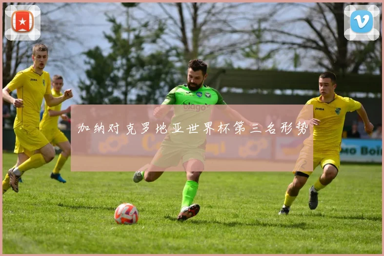 加纳对克罗地亚世界杯第三名形势