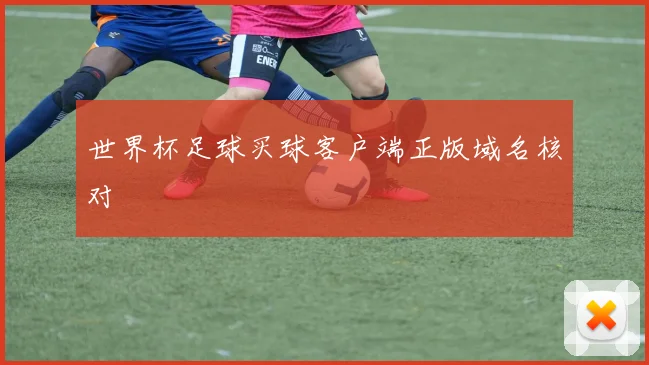 世界杯足球买球客户端正版域名核对