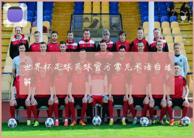世界杯足球买球官方常见术语白话解