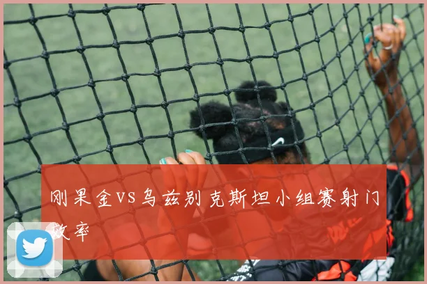 刚果金vs乌兹别克斯坦小组赛射门效率