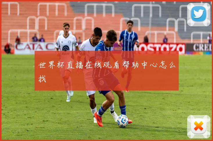 世界杯直播在线观看帮助中心怎么找